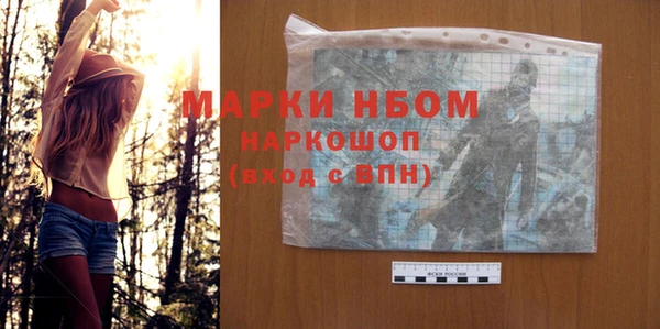 шишки Сясьстрой